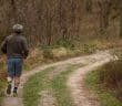 jogging, trail, forest