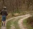 jogging, trail, forest