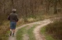jogging, trail, forest