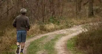 jogging, trail, forest