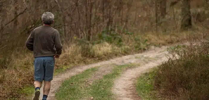 jogging, trail, forest