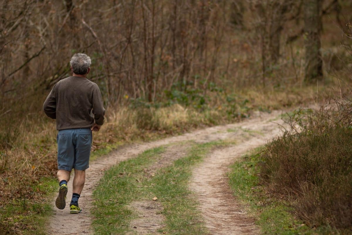 jogging, trail, forest
