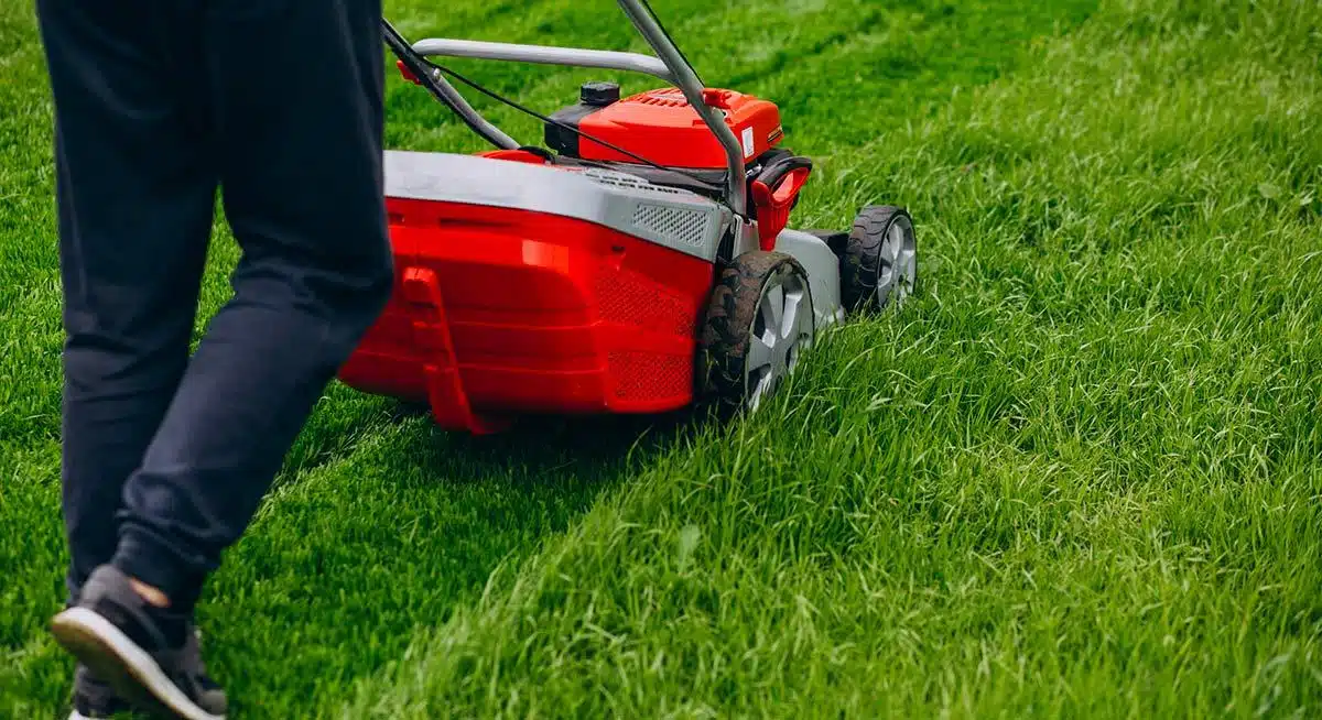 Comment économiser de l'argent avec le jardinage