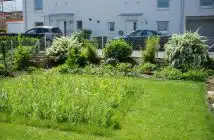 Comment économiser de l'argent avec le jardinage