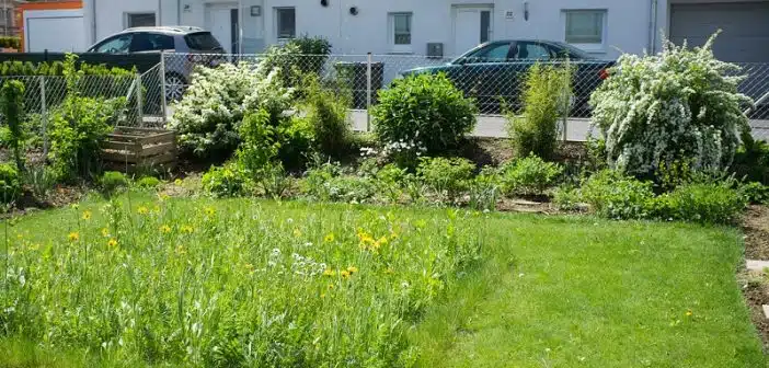 Comment économiser de l'argent avec le jardinage