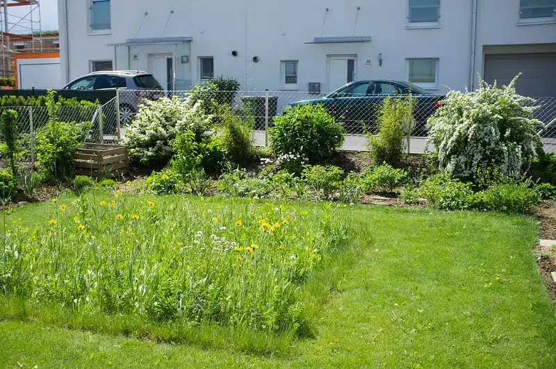 Comment économiser de l'argent avec le jardinage