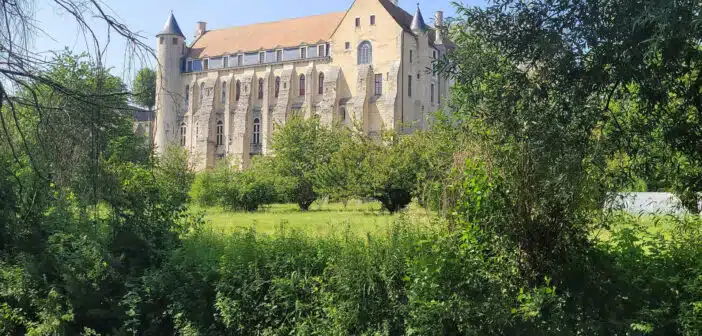 Les trésors cachés de la Seine-et-Marne : villes à ne pas manquer