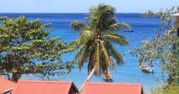 Visitez la Martinique : un paradis à découvrir sans plus attendre