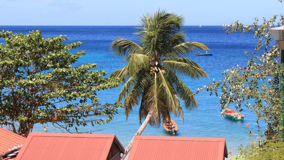 Visitez la Martinique : un paradis à découvrir sans plus attendre