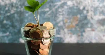 green plant in clear glass vase